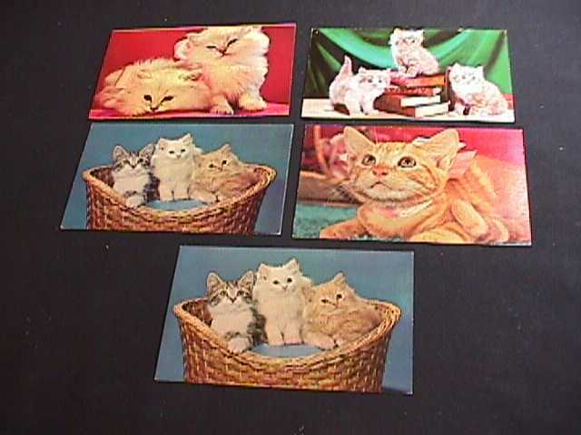 5 POSTCARD VIEWS WITH CATS & KITTENS